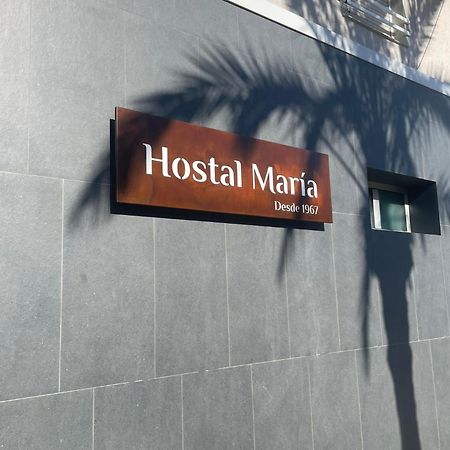 Hostal Maria Elche Exterior photo Hostel María
